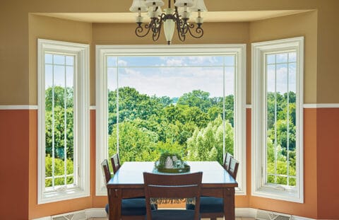 Picture Windows - Renewal By Andersen Of WNY